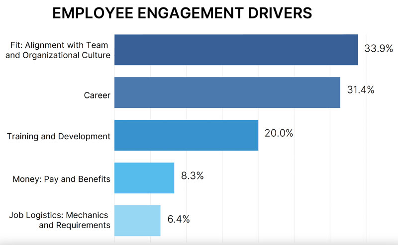 A chart showing Employee drivers of employment satisfaction